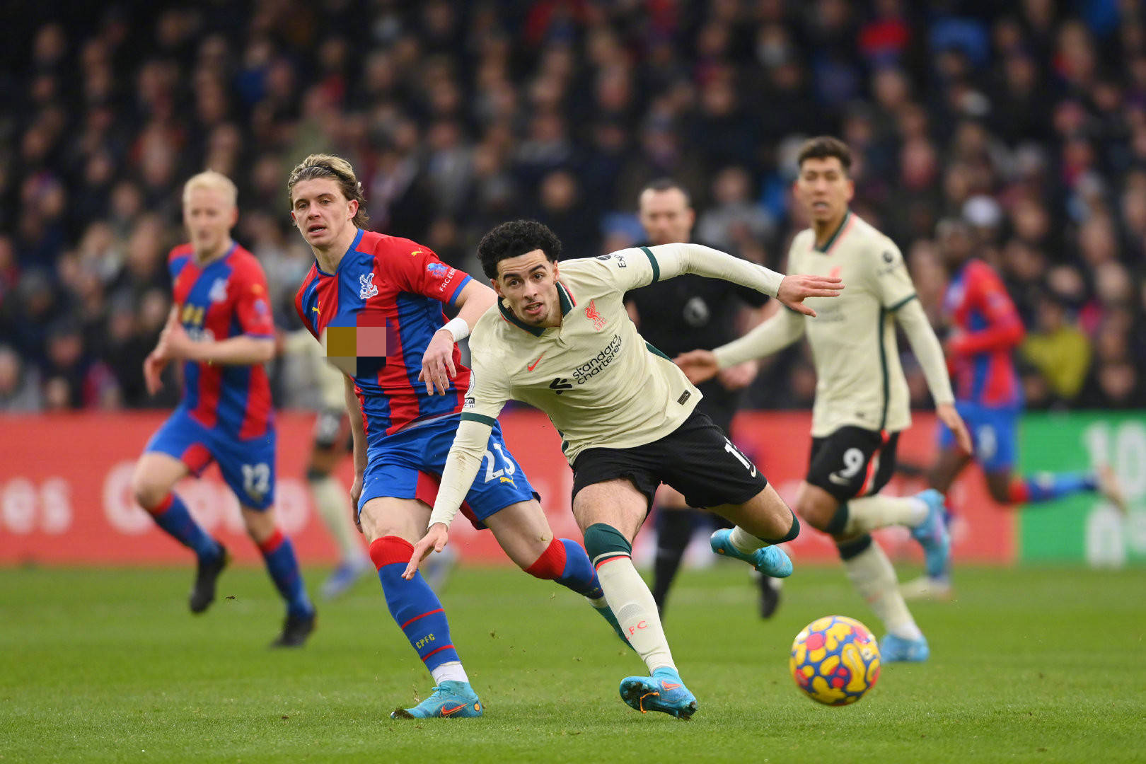 顯示出其獨 顯示出其獨